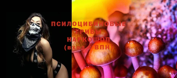 мдпв Осташков
