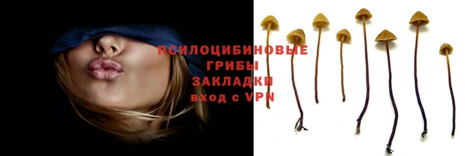 прущие крисы Осинники