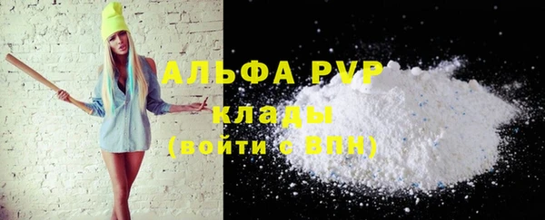 мдпв Осташков