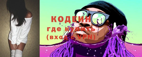 мдпв Осташков