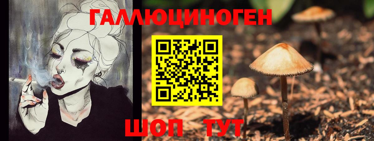 Галлюциногенные грибы мухоморы Протвино